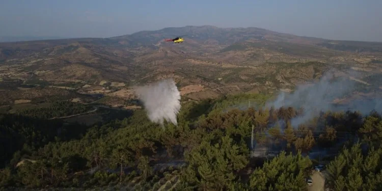 Antalya’da silah kaçakçılarına operasyon: 5 gözaltı