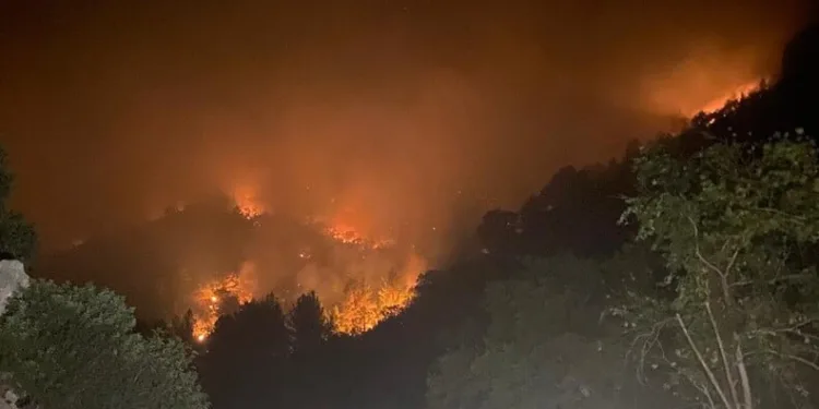Antalya’da silah kaçakçılarına operasyon: 5 gözaltı
