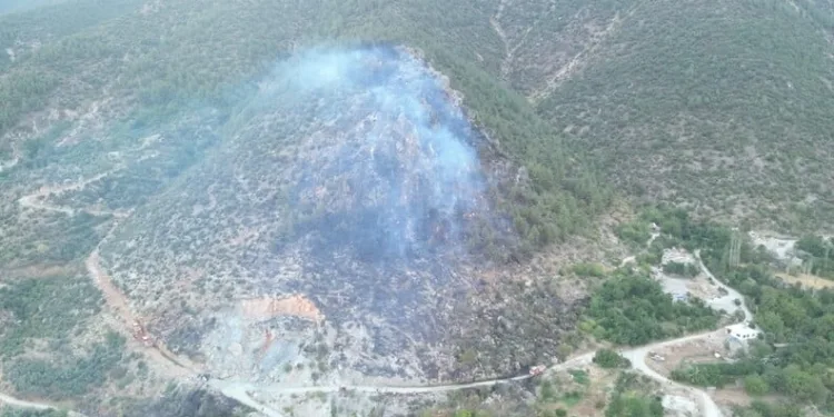 Antalya’da silah kaçakçılarına operasyon: 5 gözaltı