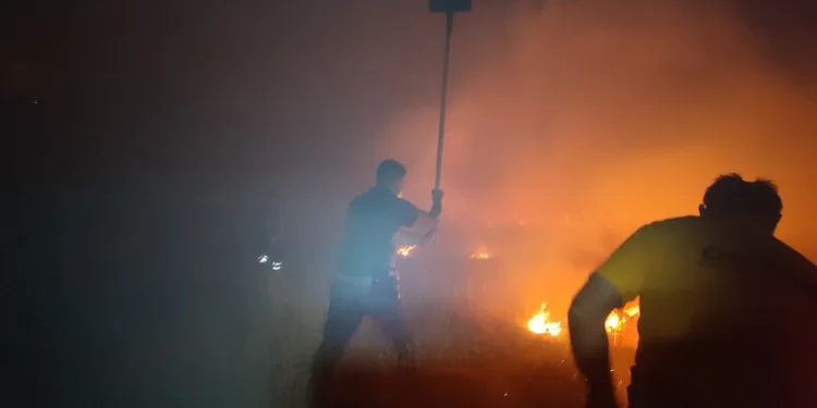 Antalya’da silah kaçakçılarına operasyon: 5 gözaltı