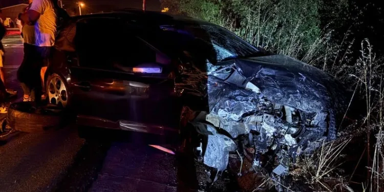Antalya’da silah kaçakçılarına operasyon: 5 gözaltı