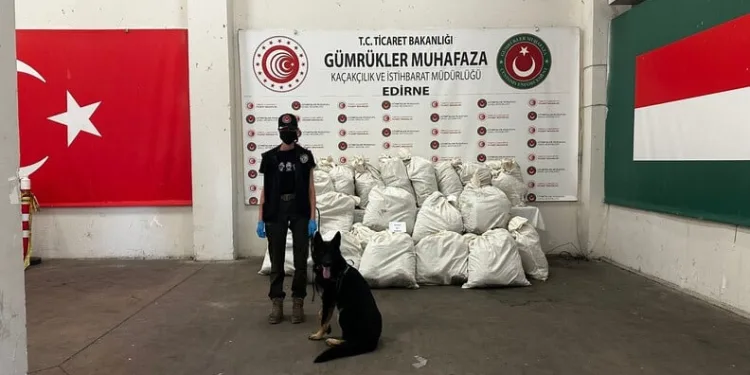 Mersin’de öğrencilere ve bakım merkezi çalışanlarına trafik güvenliği eğitimi verildi
