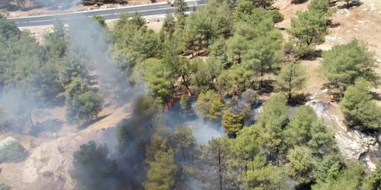 Tercan’da jandarma ve AFAD ekipleri kayıp şahıs için arama çalışması başlattı