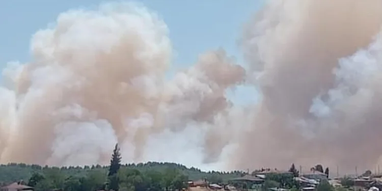 Tercan’da jandarma ve AFAD ekipleri kayıp şahıs için arama çalışması başlattı