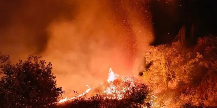 Tercan’da jandarma ve AFAD ekipleri kayıp şahıs için arama çalışması başlattı