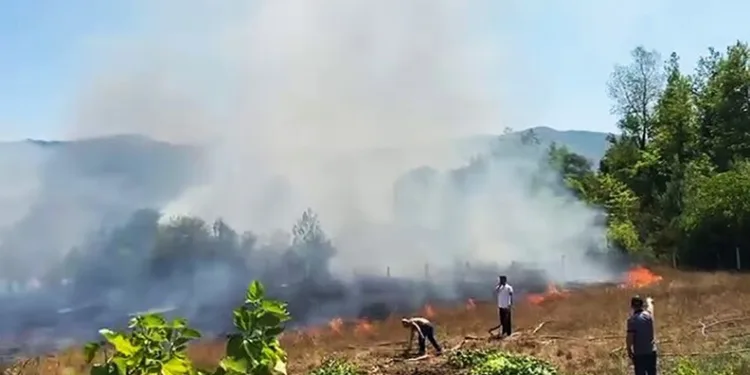 Tercan’da jandarma ve AFAD ekipleri kayıp şahıs için arama çalışması başlattı