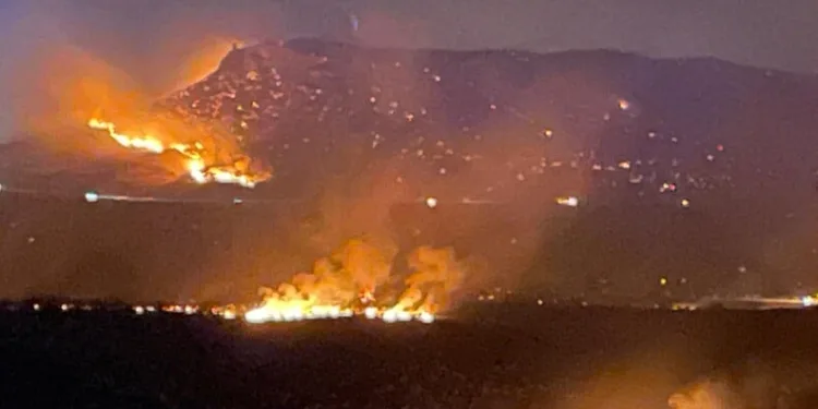 Diyarbakır’ın 2 ilçesinde çıkan yangın söndürüldü