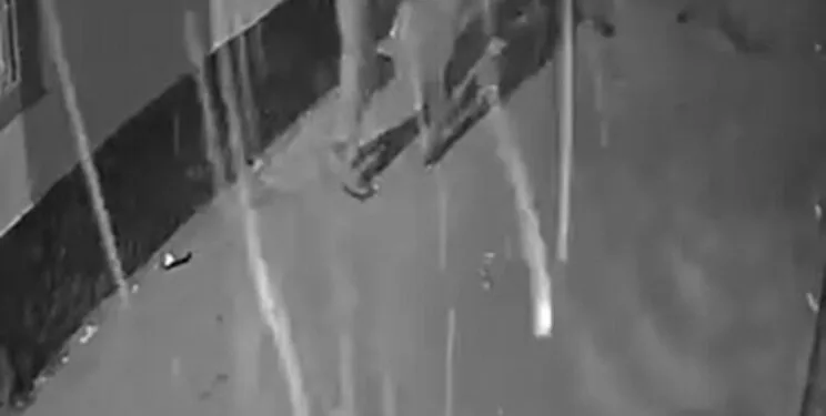 Diyarbakır’ın 2 ilçesinde çıkan yangın söndürüldü