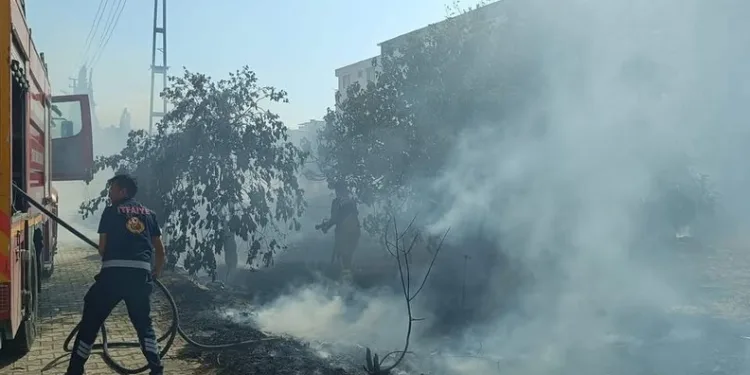 Arnavutköy’de freni patlayan kamyonet önce reklam panolarına sonra trafik ışığına çarptı: 1 yaralı