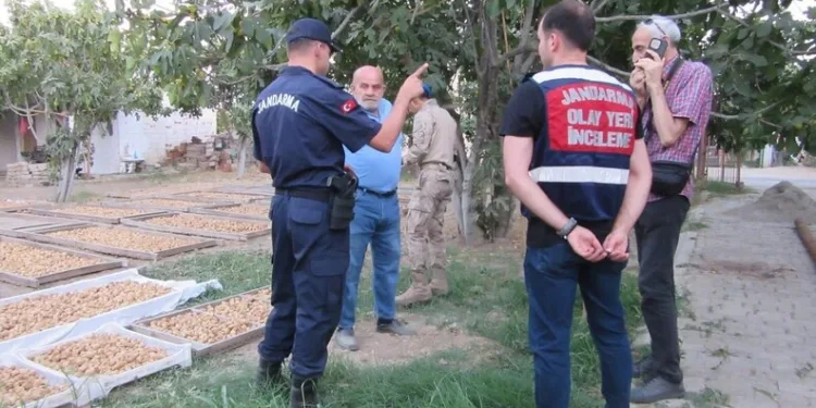 Germencik’te incir hırsızlığına karşı jandarmadan sıkı denetim
