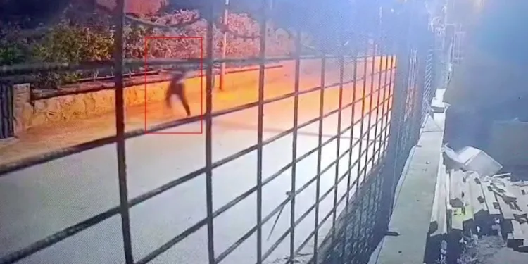 Germencik’te incir hırsızlığına karşı jandarmadan sıkı denetim