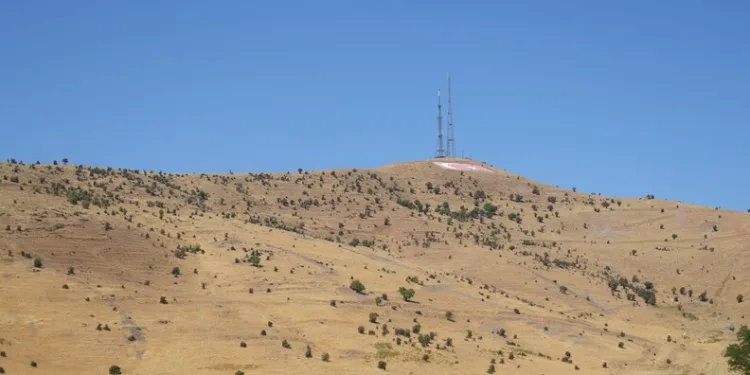 Ordu’da jandarma ekiplerinin bir haftalık faaliyetleri