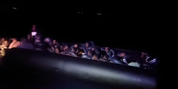 Ordu’da jandarma ekiplerinin bir haftalık faaliyetleri