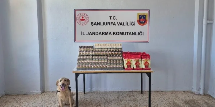 Ordu’da jandarma ekiplerinin bir haftalık faaliyetleri