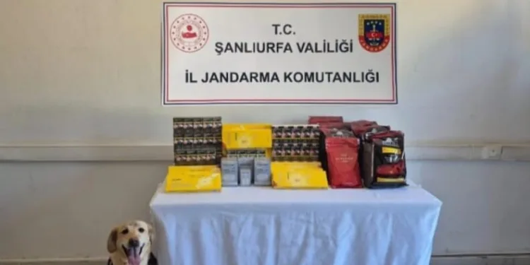 Ordu’da jandarma ekiplerinin bir haftalık faaliyetleri