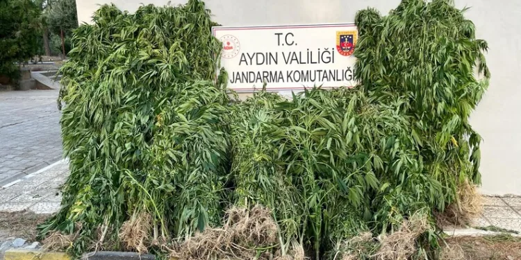 Ormana sıçrayan yangın söndürüldü