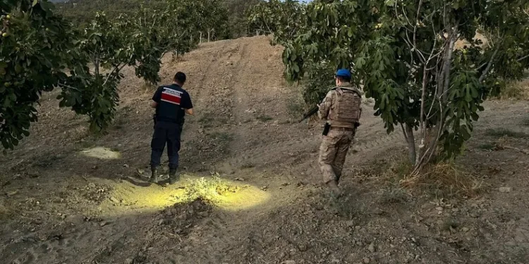 Ormana sıçrayan yangın söndürüldü