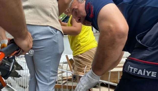 Kasko için Tesla aracın fotoğrafını çekerken tır çarptı: 1 yaralı