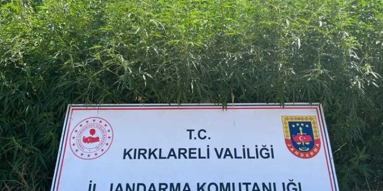 Trafik magandalarını polis tek tek tespit etti