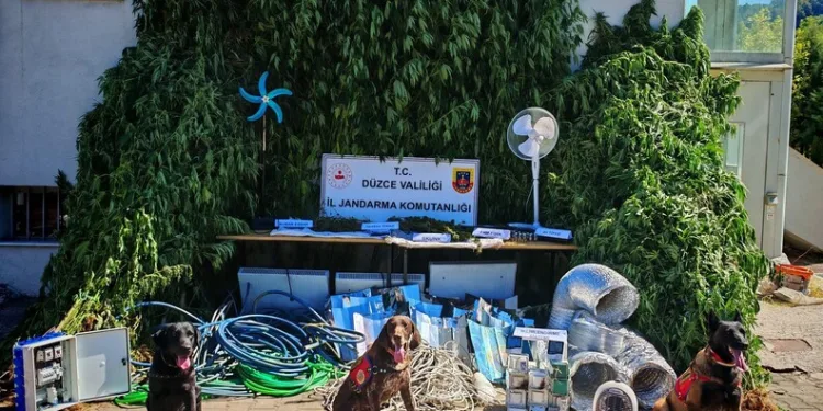 Trafik magandalarını polis tek tek tespit etti
