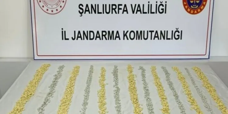 Şanlıurfa’da 15 adrese uyuşturucu operasyonu: 15 gözaltı