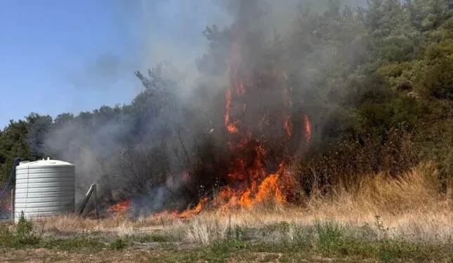 Kilis’te jandarma ekiplerinden alkol denetimi