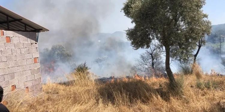 Kilis’te jandarma ekiplerinden alkol denetimi