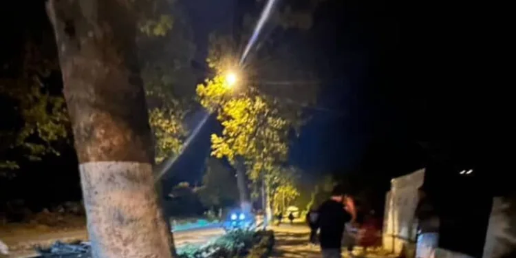 Mısır tarlası zehir tarlası çıktı