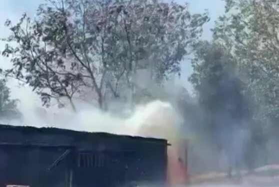 Mısır tarlası zehir tarlası çıktı