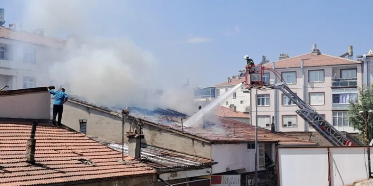 Mısır tarlası zehir tarlası çıktı