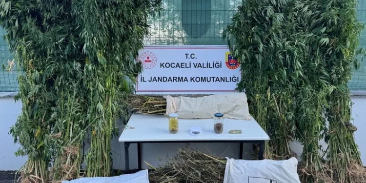 Turgut Özal’ın kaybolan papağanı 3 gün sonra bulundu