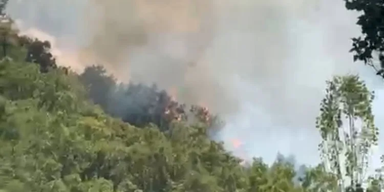 Şemdinli’de orman yangını