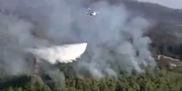 Adana’daki orman yangını kontrol altına alındı
