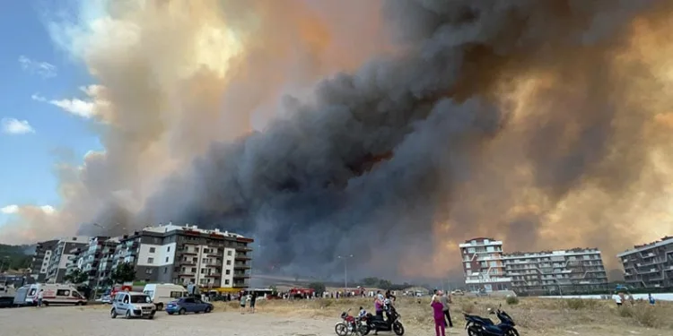 Çanakkale’de çıkan orman yangınları kontrol altında