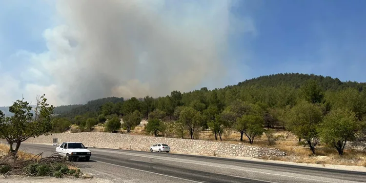 Adıyaman’da orman yangını