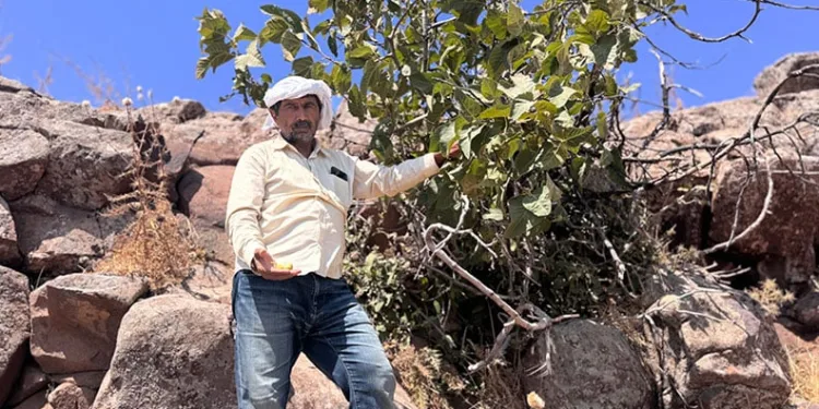 Mardin’de ölü bulunan 12 yaşındaki Zeynep’in acılı babası konuştu