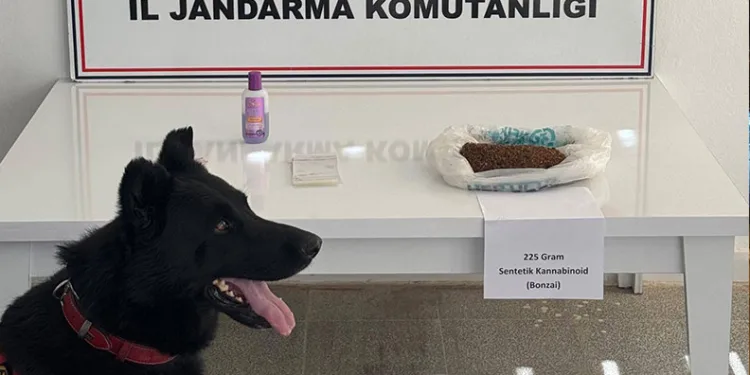 Muş’ta uyuşturucu operasyonu: 2 gözaltı