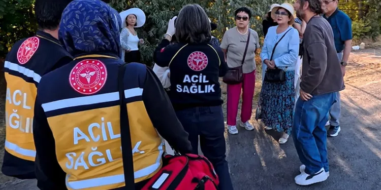 Turistleri taşıyan midibüse tır çarptı: 5 turist yaralı