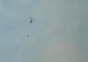 Düzce’deki orman yangınına müdahale sürüyor