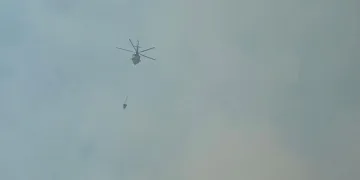 Düzce’deki orman yangınına müdahale sürüyor