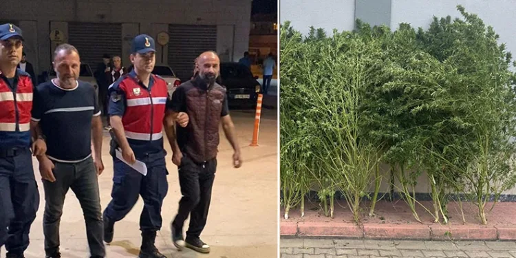 Bursa’da uyuşturucu operasyonu