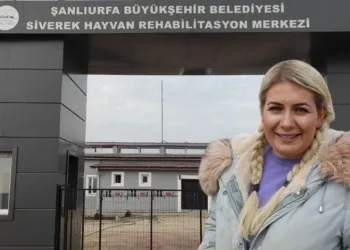 Kuduz köpek davası: Buket Özgünlü Boyacı hakkında karar