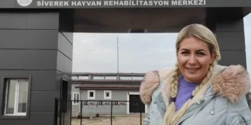 Kuduz köpek davası: Buket Özgünlü Boyacı hakkında karar