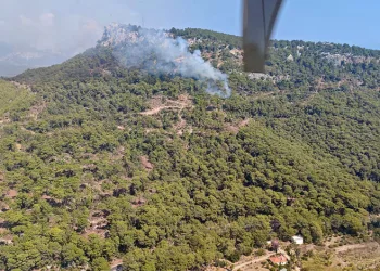 Antalya’da orman yangını
