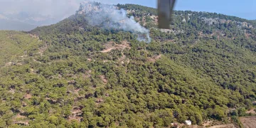 Antalya’da orman yangını