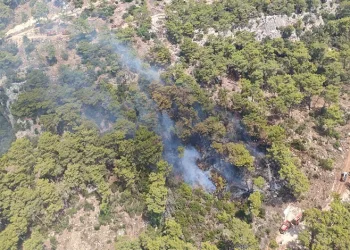 Antalya’daki orman yangını kontrol altında