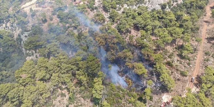 Antalya’daki orman yangını kontrol altında