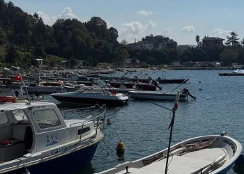 Karadeniz’de hamsi beklentisi büyük