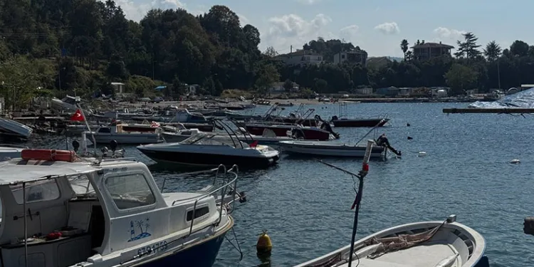 Karadeniz’de hamsi beklentisi büyük