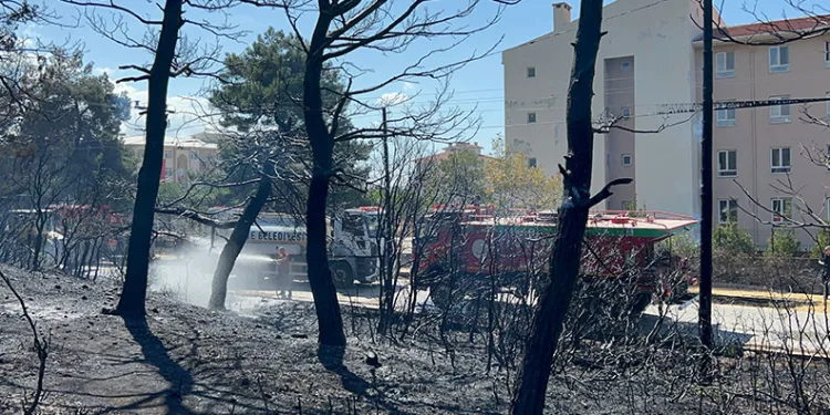 Çanakkale’de çıkan orman yangını kontrol altına alındı